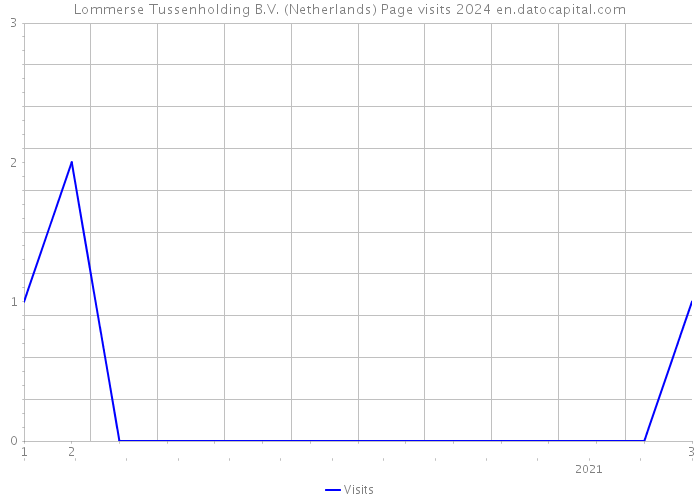 Lommerse Tussenholding B.V. (Netherlands) Page visits 2024 