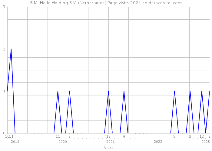 B.M. Holla Holding B.V. (Netherlands) Page visits 2024 