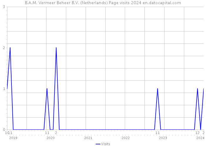 B.A.M. Vermeer Beheer B.V. (Netherlands) Page visits 2024 