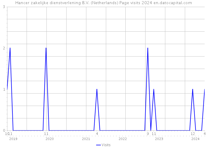 Hancer zakelijke dienstverlening B.V. (Netherlands) Page visits 2024 