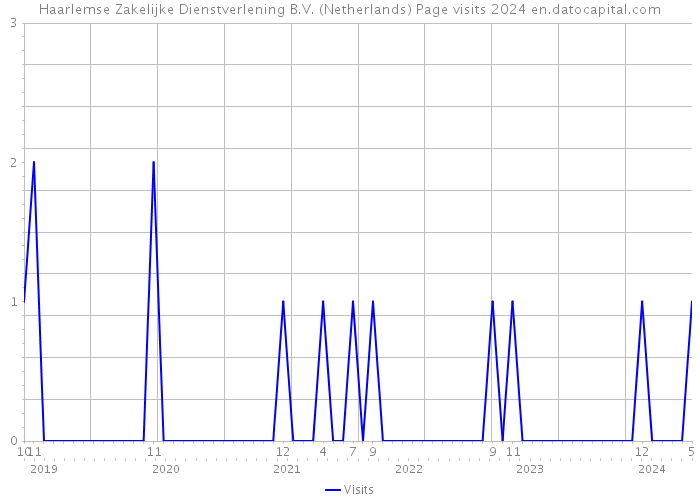 Haarlemse Zakelijke Dienstverlening B.V. (Netherlands) Page visits 2024 