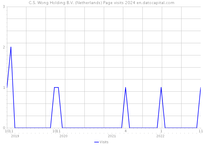 C.S. Wong Holding B.V. (Netherlands) Page visits 2024 