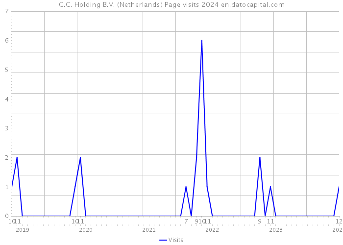 G.C. Holding B.V. (Netherlands) Page visits 2024 