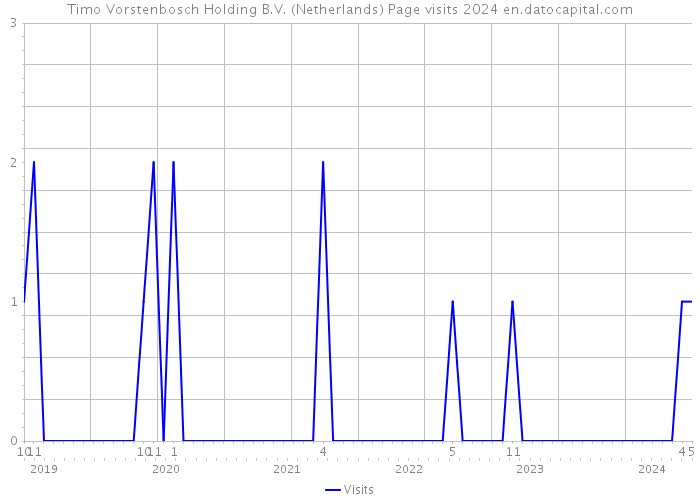 Timo Vorstenbosch Holding B.V. (Netherlands) Page visits 2024 