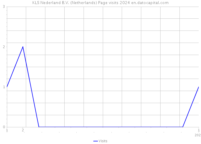 KLS Nederland B.V. (Netherlands) Page visits 2024 
