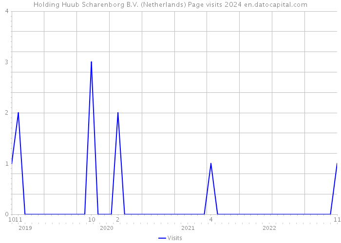 Holding Huub Scharenborg B.V. (Netherlands) Page visits 2024 