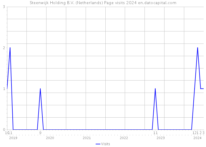 Steenwijk Holding B.V. (Netherlands) Page visits 2024 