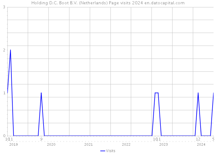 Holding D.C. Boot B.V. (Netherlands) Page visits 2024 