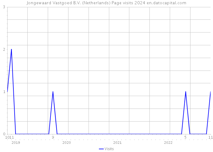 Jongewaard Vastgoed B.V. (Netherlands) Page visits 2024 