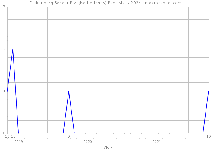 Dikkenberg Beheer B.V. (Netherlands) Page visits 2024 
