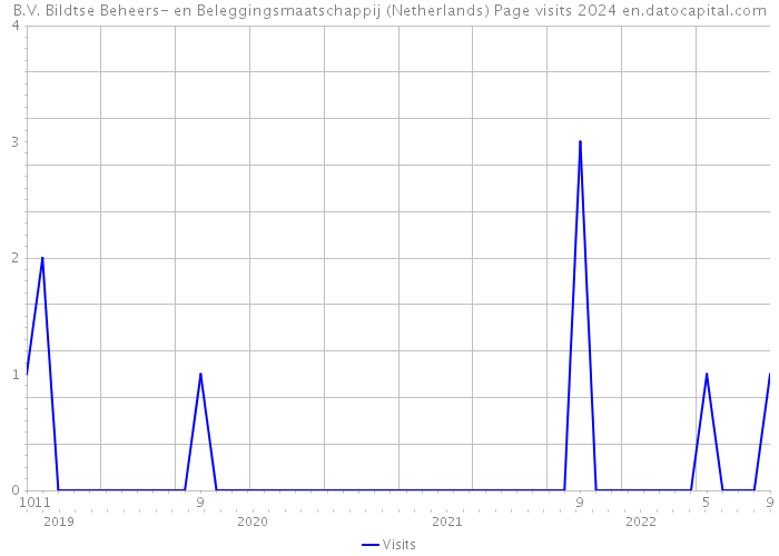 B.V. Bildtse Beheers- en Beleggingsmaatschappij (Netherlands) Page visits 2024 