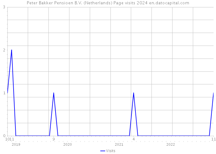 Peter Bakker Pensioen B.V. (Netherlands) Page visits 2024 
