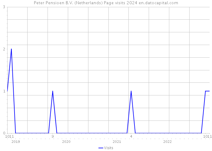 Peter Pensioen B.V. (Netherlands) Page visits 2024 
