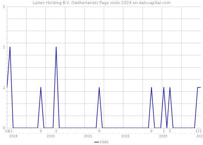 Luiten Holding B.V. (Netherlands) Page visits 2024 