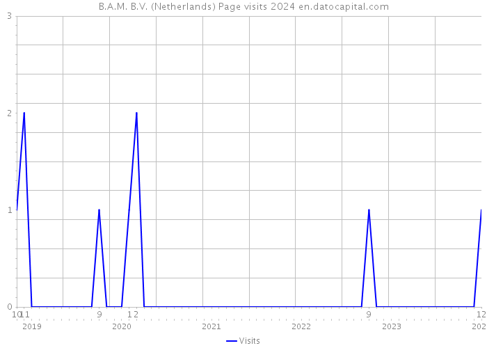 B.A.M. B.V. (Netherlands) Page visits 2024 