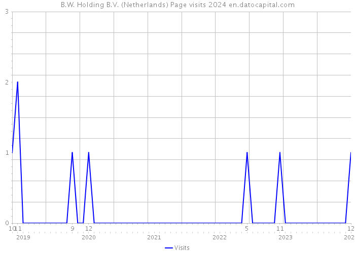 B.W. Holding B.V. (Netherlands) Page visits 2024 