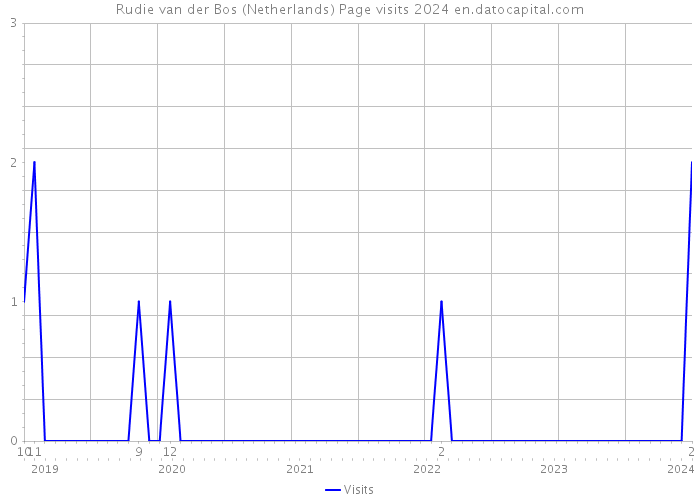 Rudie van der Bos (Netherlands) Page visits 2024 