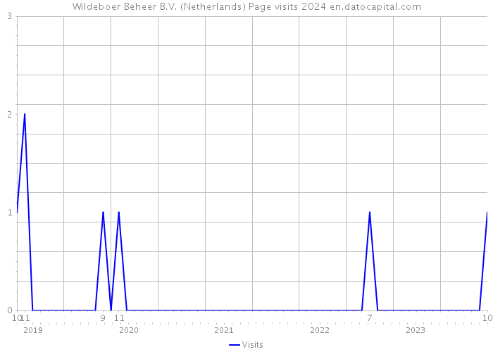 Wildeboer Beheer B.V. (Netherlands) Page visits 2024 