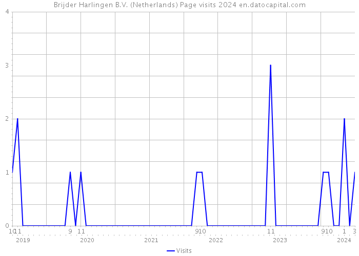 Brijder Harlingen B.V. (Netherlands) Page visits 2024 