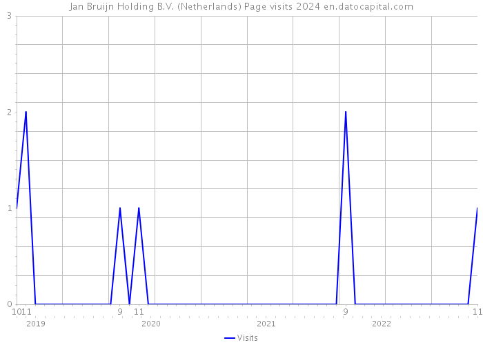 Jan Bruijn Holding B.V. (Netherlands) Page visits 2024 