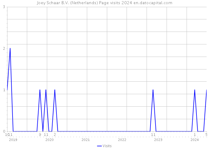 Joey Schaar B.V. (Netherlands) Page visits 2024 