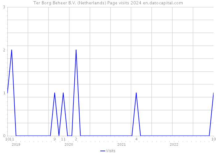Ter Borg Beheer B.V. (Netherlands) Page visits 2024 