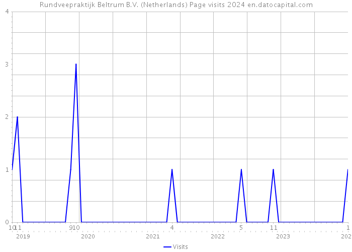 Rundveepraktijk Beltrum B.V. (Netherlands) Page visits 2024 
