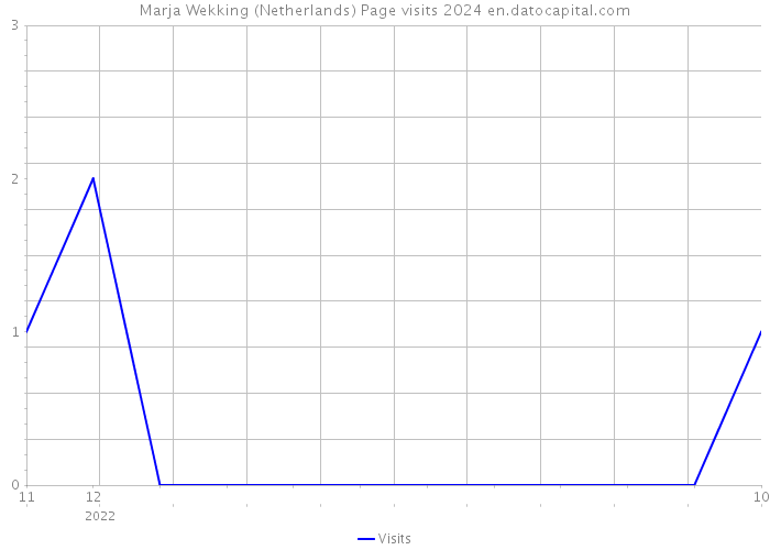Marja Wekking (Netherlands) Page visits 2024 