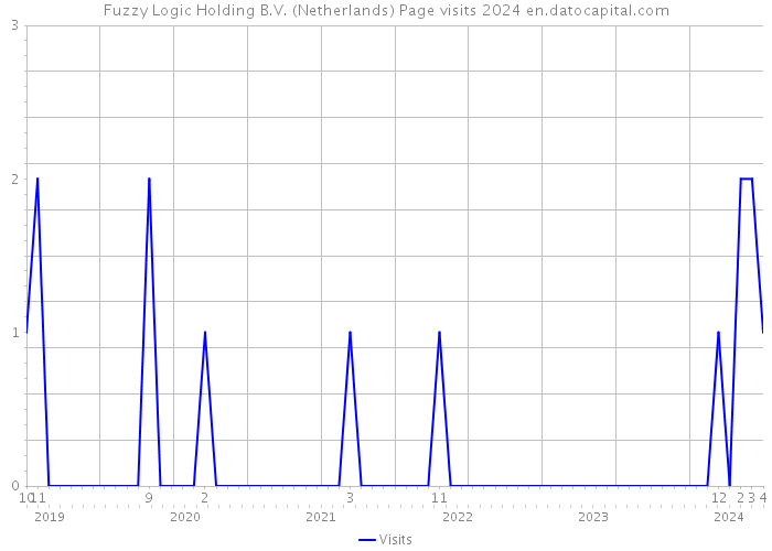 Fuzzy Logic Holding B.V. (Netherlands) Page visits 2024 
