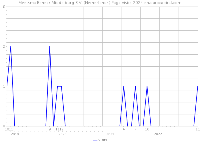 Meetsma Beheer Middelburg B.V. (Netherlands) Page visits 2024 