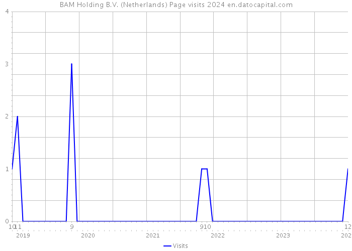 BAM Holding B.V. (Netherlands) Page visits 2024 
