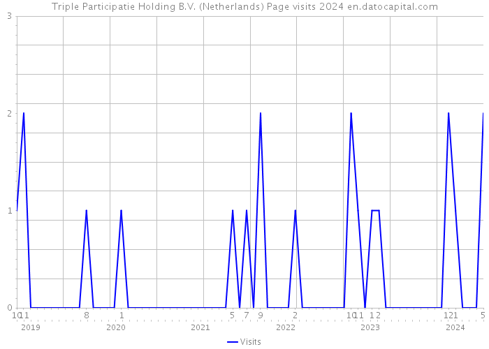 Triple Participatie Holding B.V. (Netherlands) Page visits 2024 