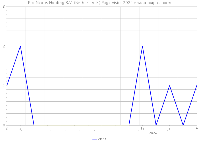 Pro Nexus Holding B.V. (Netherlands) Page visits 2024 