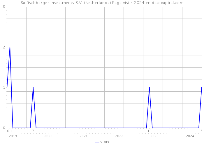 Salfischberger Investments B.V. (Netherlands) Page visits 2024 