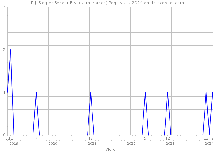 P.J. Slagter Beheer B.V. (Netherlands) Page visits 2024 