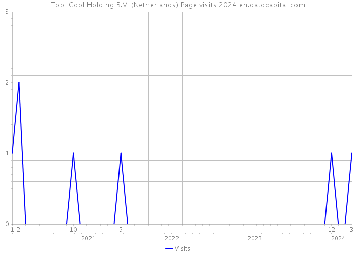 Top-Cool Holding B.V. (Netherlands) Page visits 2024 