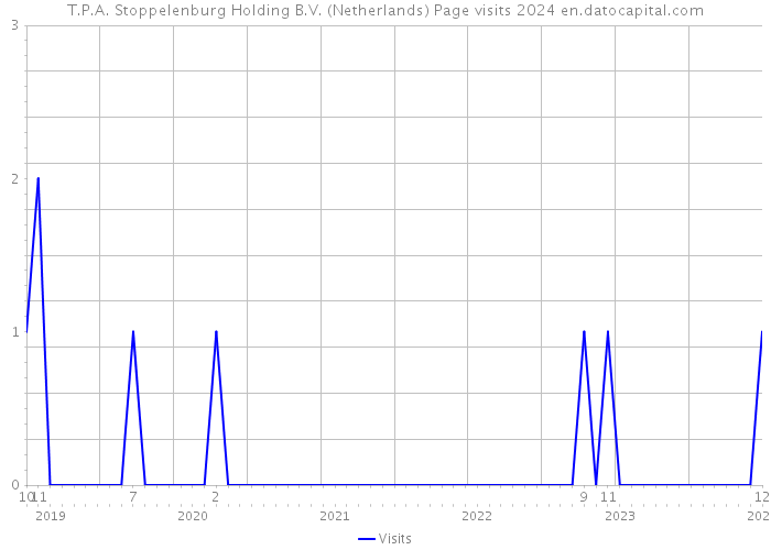 T.P.A. Stoppelenburg Holding B.V. (Netherlands) Page visits 2024 