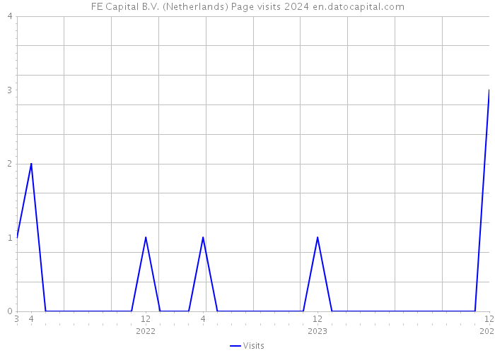 FE Capital B.V. (Netherlands) Page visits 2024 