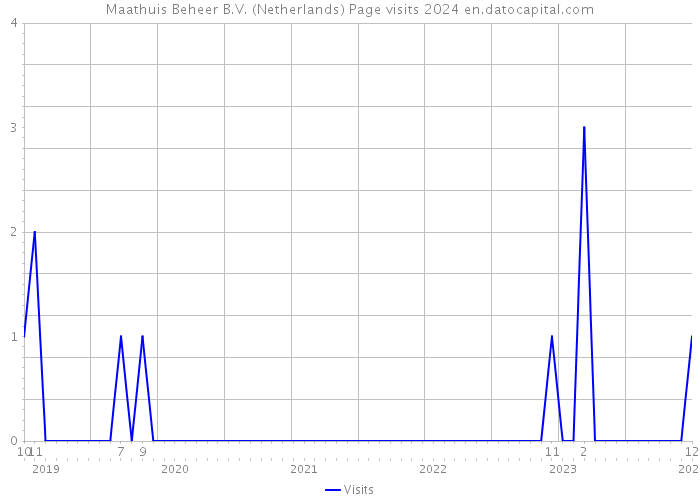 Maathuis Beheer B.V. (Netherlands) Page visits 2024 