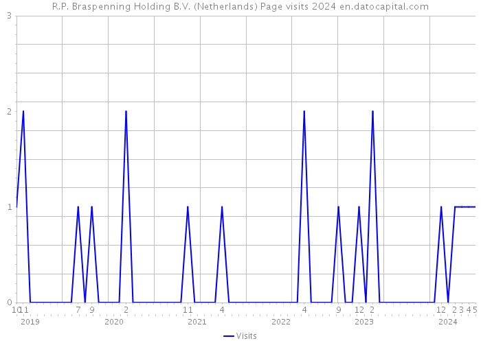 R.P. Braspenning Holding B.V. (Netherlands) Page visits 2024 