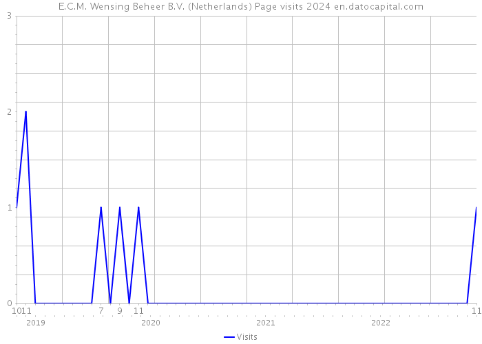 E.C.M. Wensing Beheer B.V. (Netherlands) Page visits 2024 