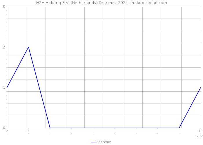 HSH Holding B.V. (Netherlands) Searches 2024 