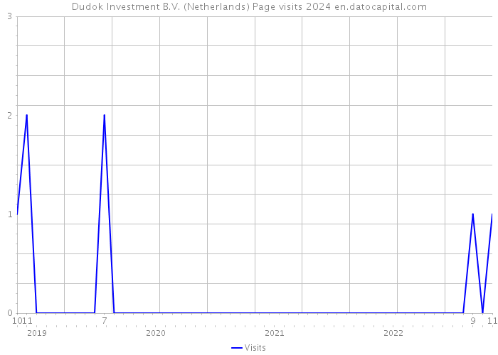 Dudok Investment B.V. (Netherlands) Page visits 2024 