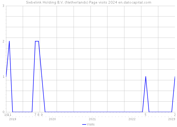 Siebelink Holding B.V. (Netherlands) Page visits 2024 