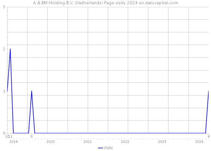 A & BM Holding B.V. (Netherlands) Page visits 2024 