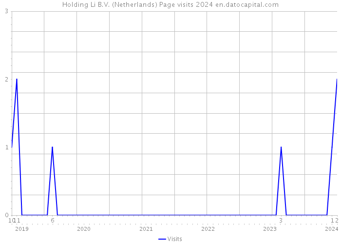Holding Li B.V. (Netherlands) Page visits 2024 