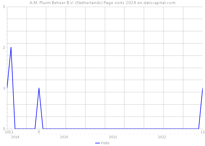 A.M. Pluim Beheer B.V. (Netherlands) Page visits 2024 
