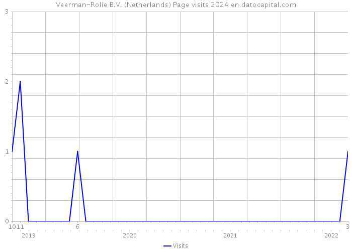 Veerman-Rolie B.V. (Netherlands) Page visits 2024 