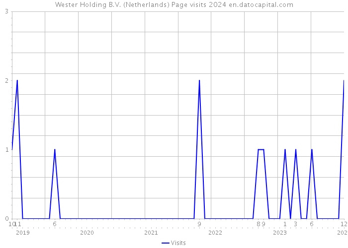 Wester Holding B.V. (Netherlands) Page visits 2024 
