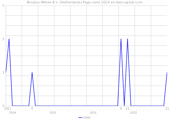 Beryllus Witsen B.V. (Netherlands) Page visits 2024 